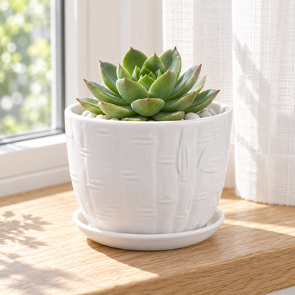 White Textured Ceramic Planter – Indoor Plant Pot