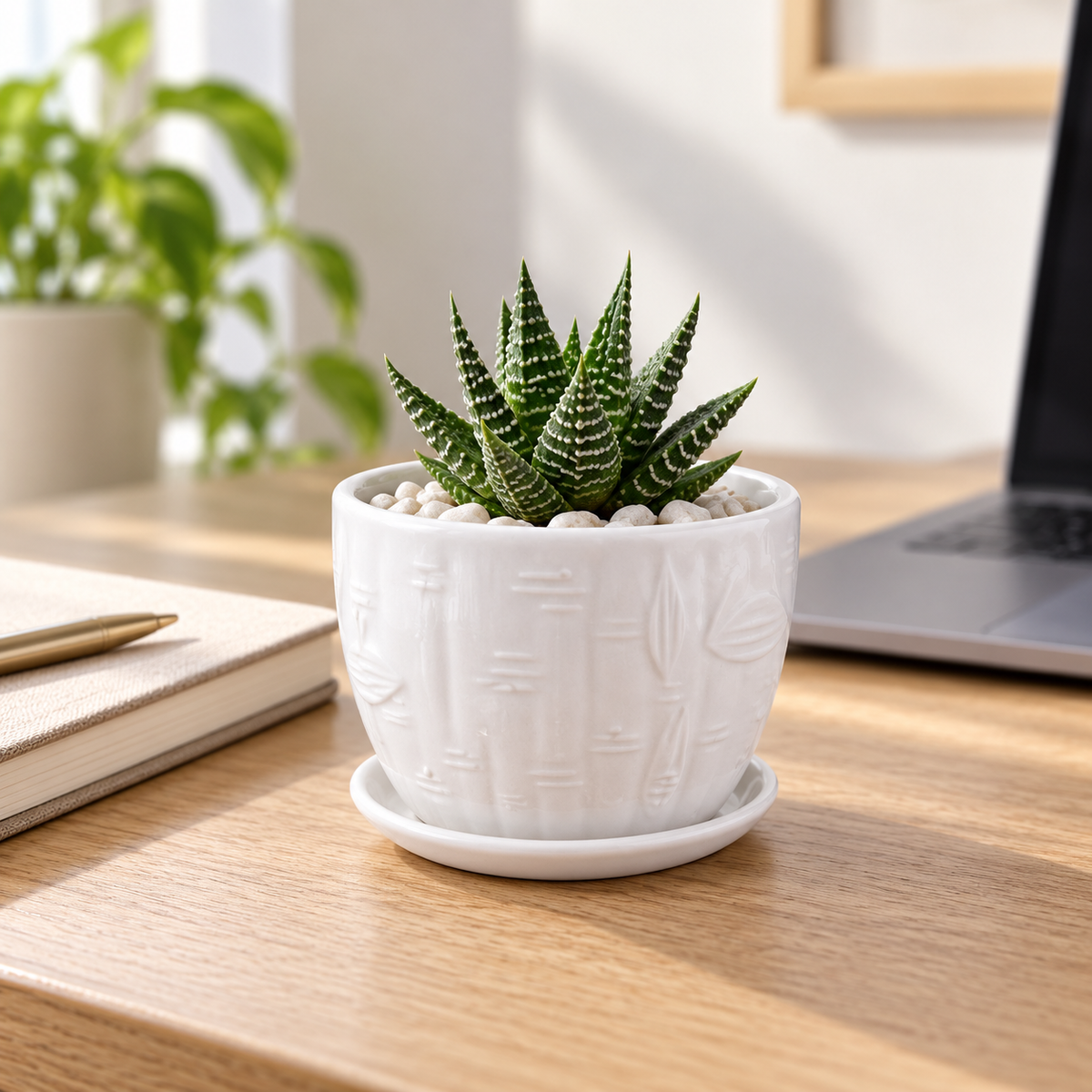 White Textured Ceramic Planter – Indoor Plant Pot